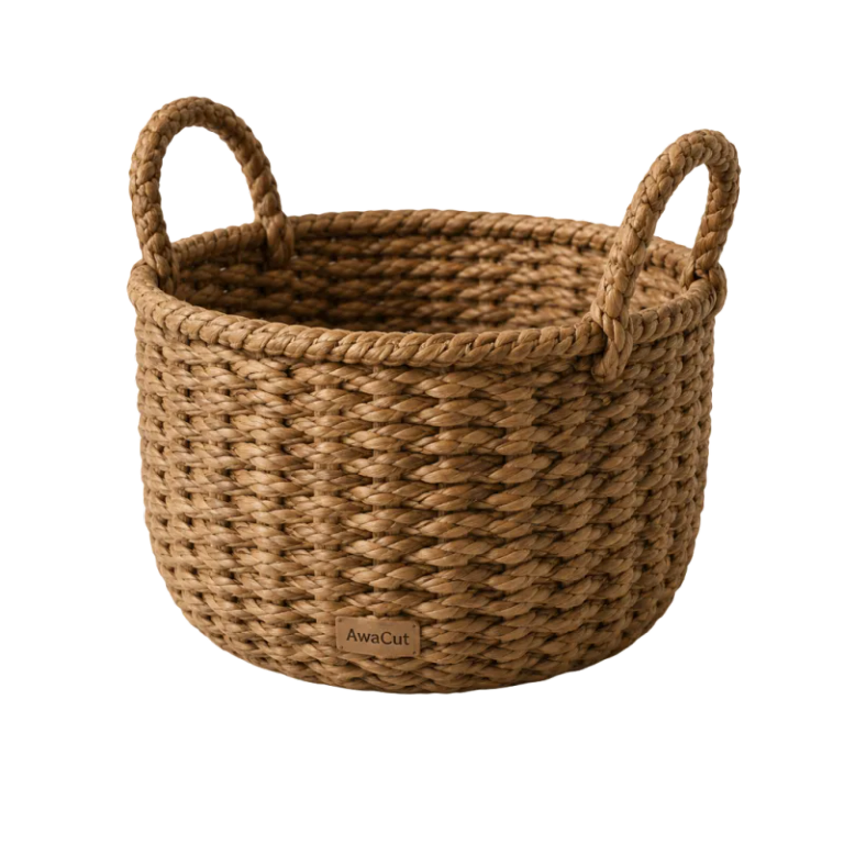The same photo after AwaCut, on a transparent background